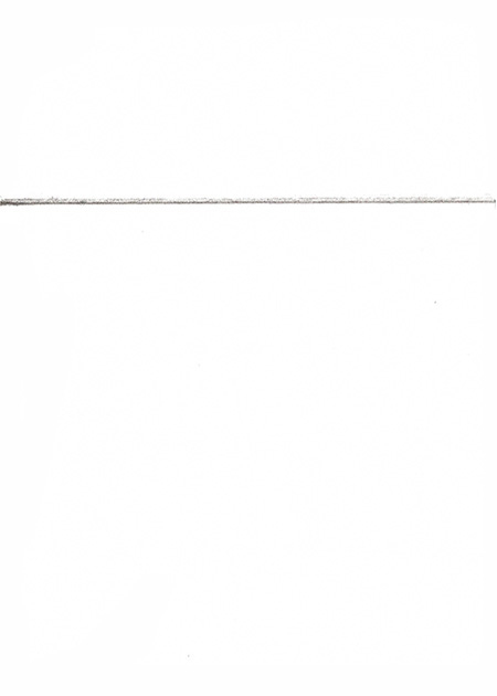 Drawing by Tineke Bruijnzeels