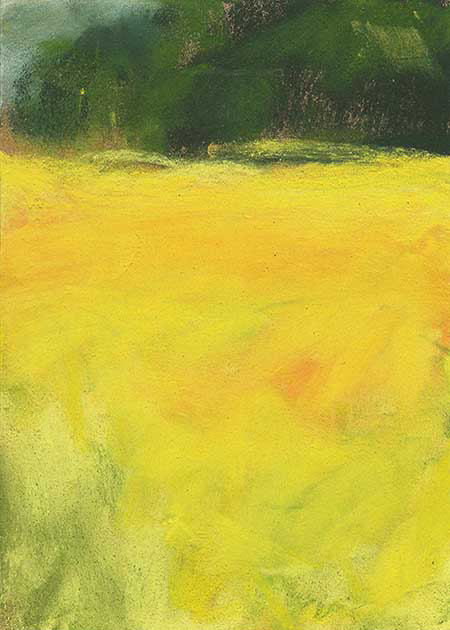 Drawing by Tineke Bruijnzeels