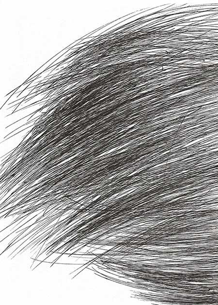 Drawing by Tineke Bruijnzeels