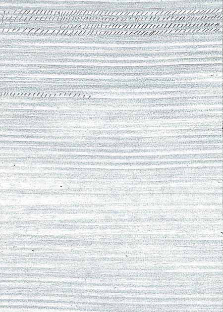 Drawing by Tineke Bruijnzeels