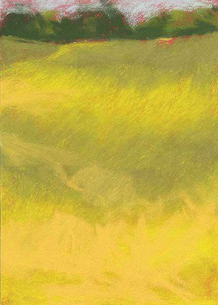 Drawing by Tineke Bruijnzeels