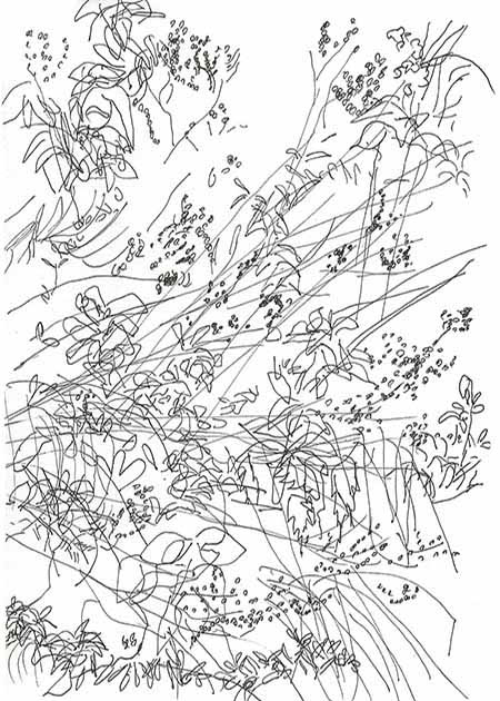 Drawing by Tineke Bruijnzeels