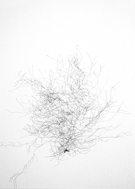 Drawing by Tineke Bruijnzeels