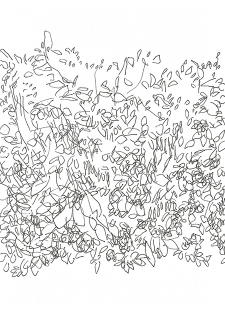 Drawing by Tineke Bruijnzeels