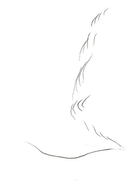 Drawing by Tineke Bruijnzeels