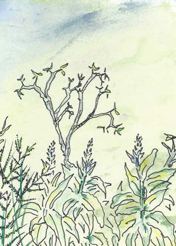 Drawing by Tony Moody