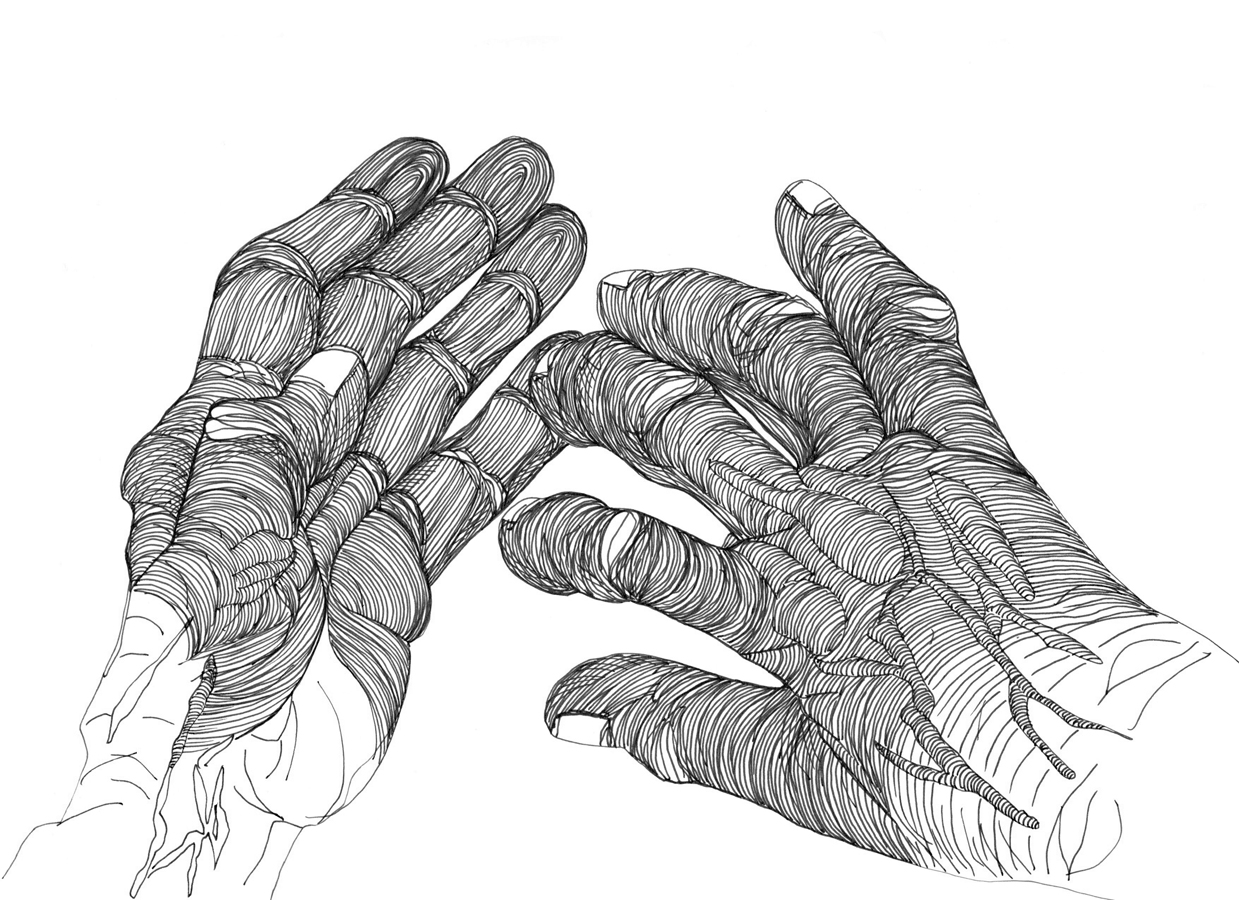 Cally Trench, Left Hand, Right Hand I: 322, Friday 21st June 2024, 11.26am - 12.26 pm