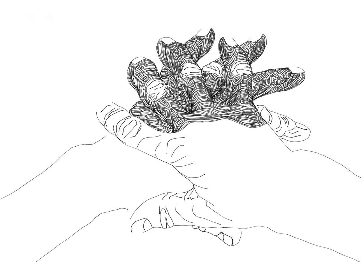 Left Hand, Right Hand III 154/885, Monday 5th January 2026, 3.12-3.42 pm