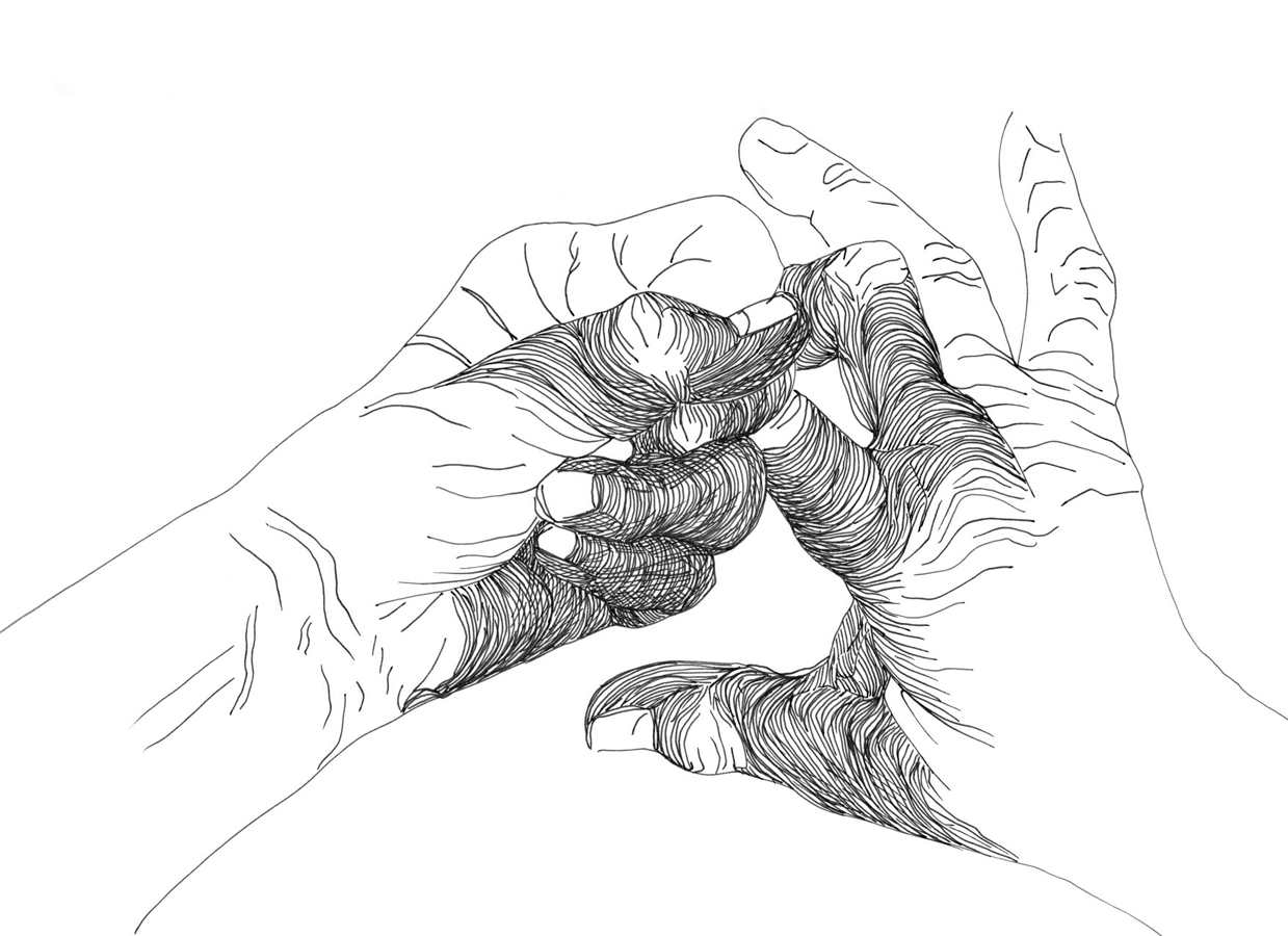 Left Hand, Right Hand III 161/892, Monday 12th January 2026, 11.37 am - 12.07 pm